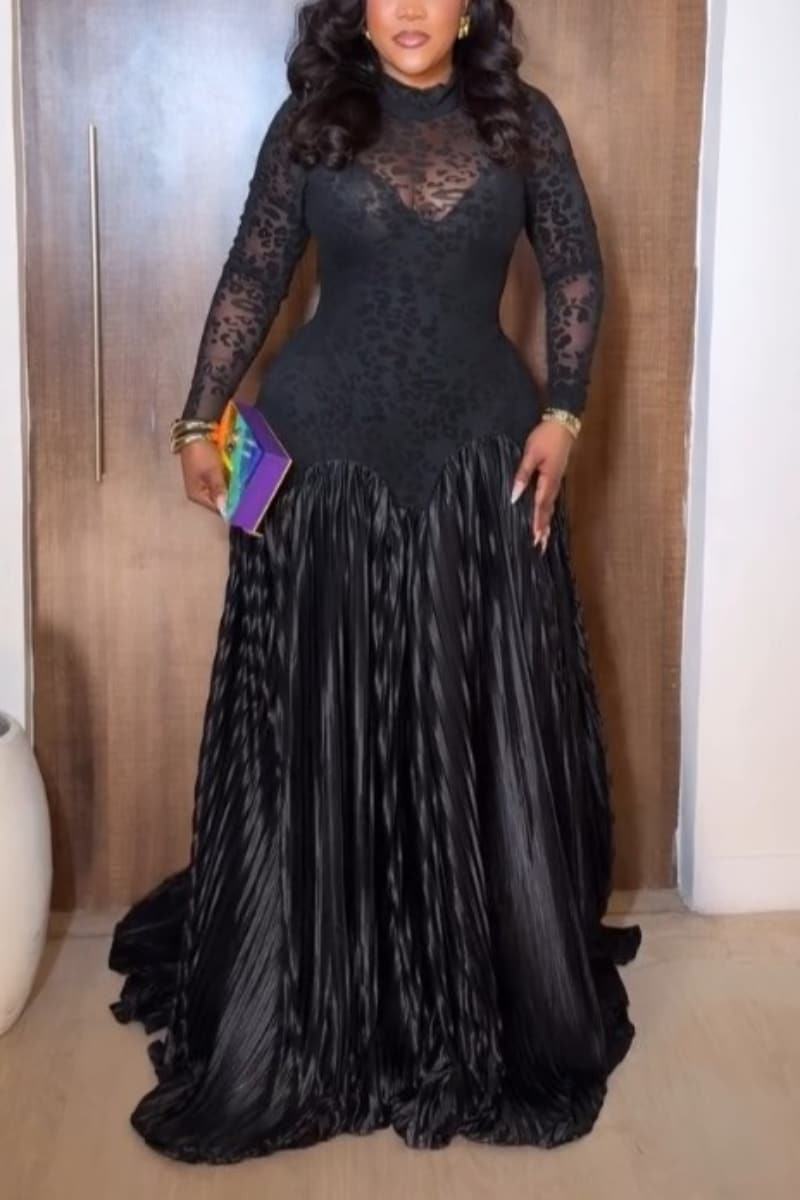 Sheer Print Pleated Dress