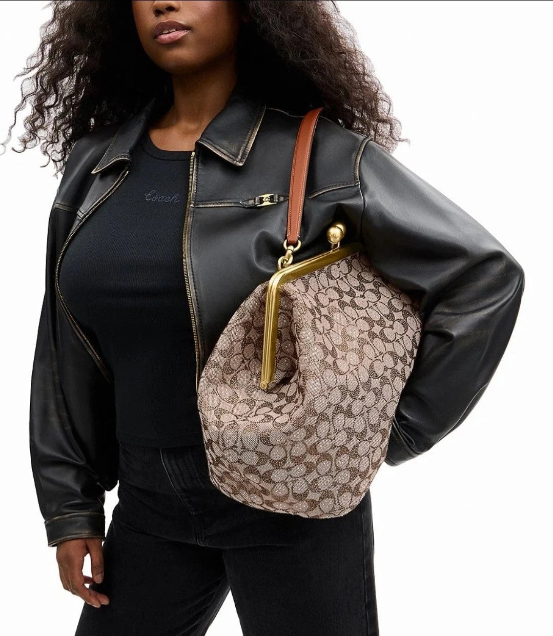 Women's Frame Crystal Jacquard Kisslock Bag