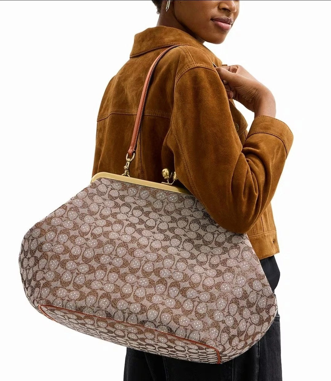 Women's Frame Crystal Jacquard Kisslock Bag