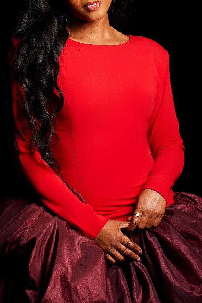 Double-layer puffy long-sleeved dress