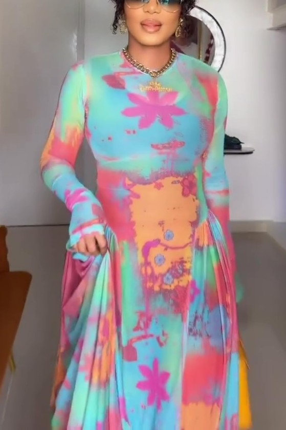 Chiffon Mesh Multi-colored Maxi Dress