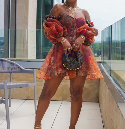Printed  Mesh Mini Dress