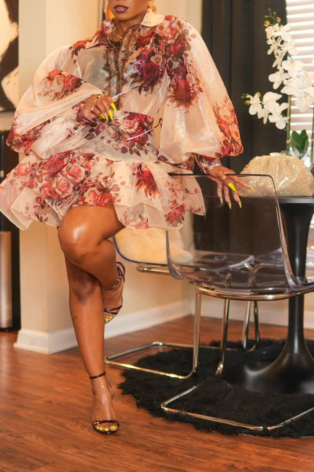 Floral Print Organza Mini Dress