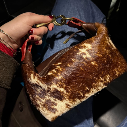Chic Brown Bag