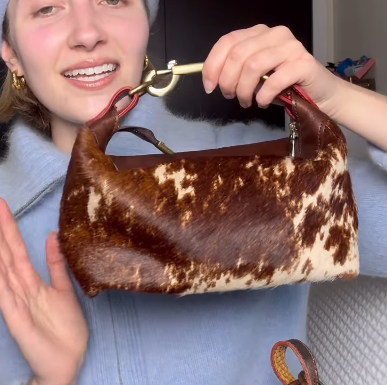 Chic Brown Bag