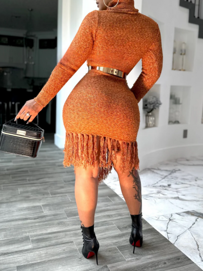 Asymmetrical Fringed Stretch Knit Dress